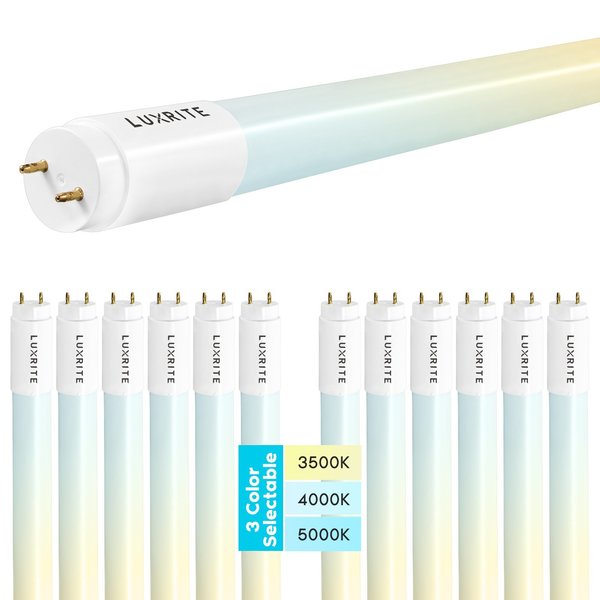 Luxrite T8 LED Tube Light Bulbs 12W (25W Equivalent) 3 CCT Selectable 1560LM Type A+B G13 Base 12-Pack LR34233-12PK